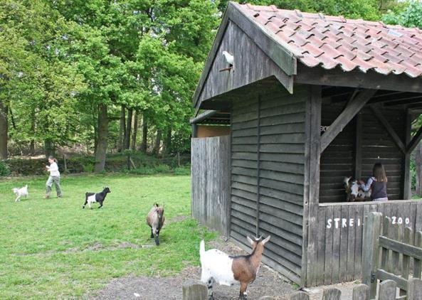 Land Gut Hotel Ritter Stadtlohn Eksteriør billede